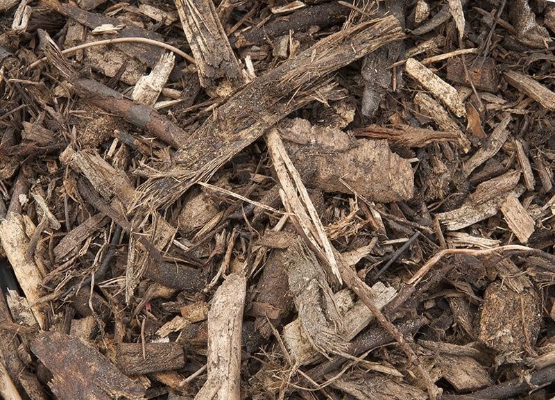 Bois rameal fragmente
